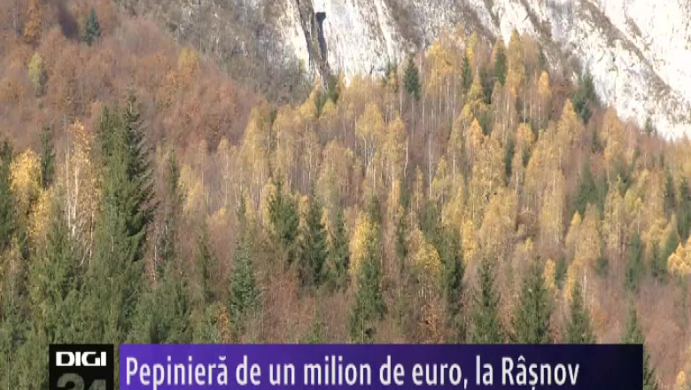 Pepiniera de un milion de euro, la Rasnov Imagine