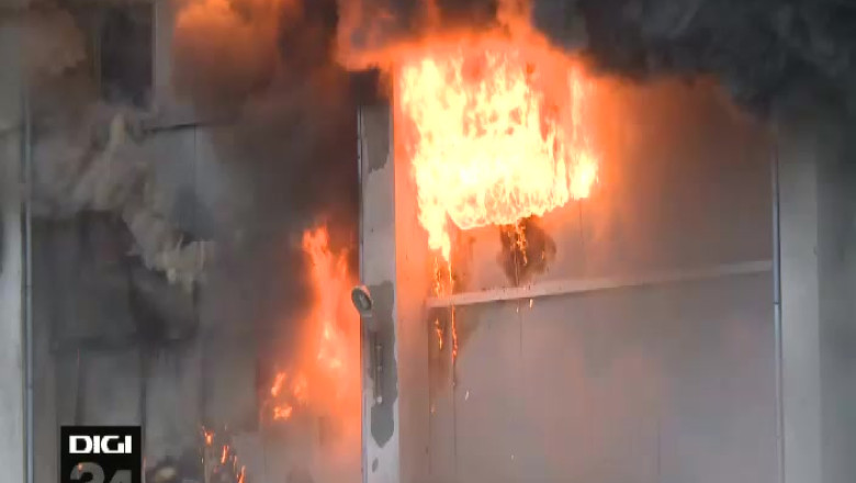 Perchezitii la hotii de lemne, in Arges. Vizate au fost persoane care ar fi taiat ilegal o padure de sapte hectare Imagine