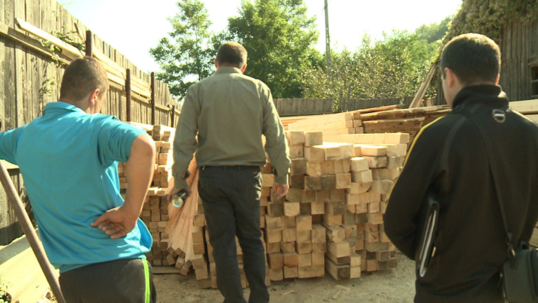 Perchezitii la mafia lemnului Imagine