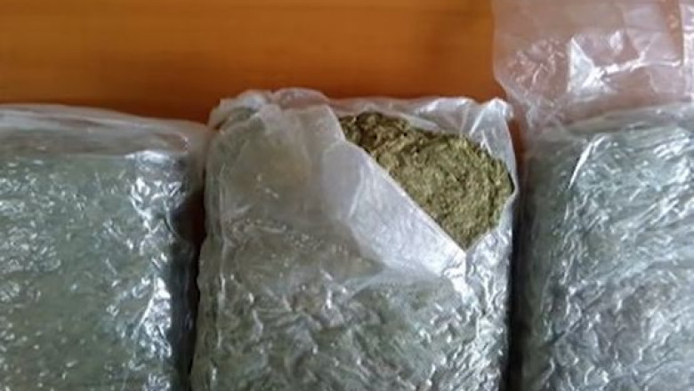 Perchezitii la suspecti de trafic de droguri  Imagine