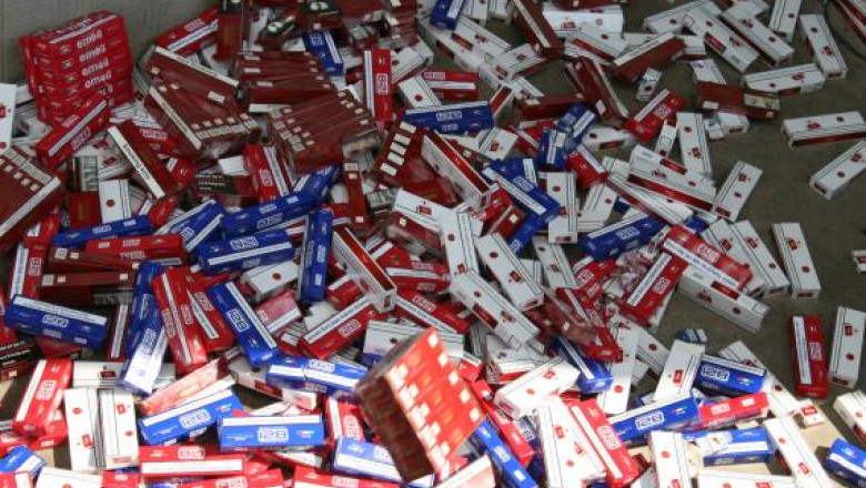 Perchezitii la traficantii de tigari din Timis si din alte judete ale tarii Imagine