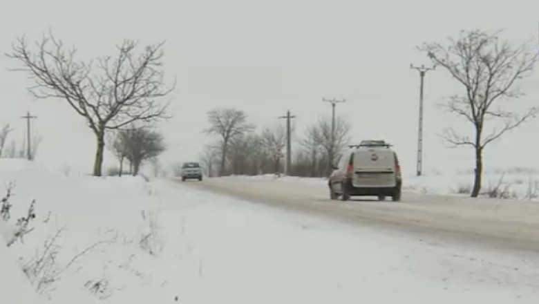 Perdelele forestiere de la marginea drumurilor, un proiect care va da rezultate peste 10 ani Imagine