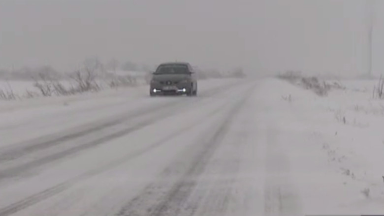 Perdelele forestiere, scut impotriva viscolului Imagine