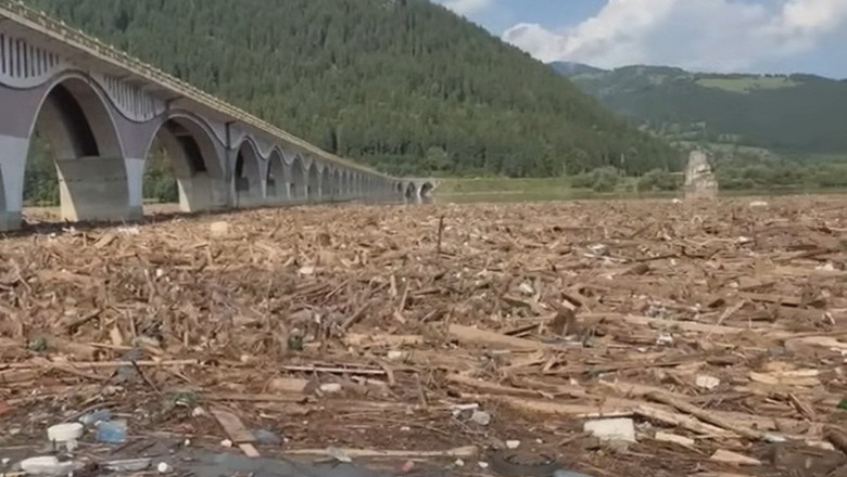 Pericol la Barajul Bicaz: tone de lemne au fost aduse de viitura si au acoperit lacul. Ce spun autoritatile despre situatie Imagine