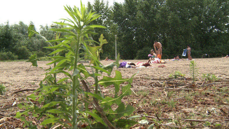 Pericol la strand. Inspectorii DSP au decis sa inchida Plaja Dunarea Imagine