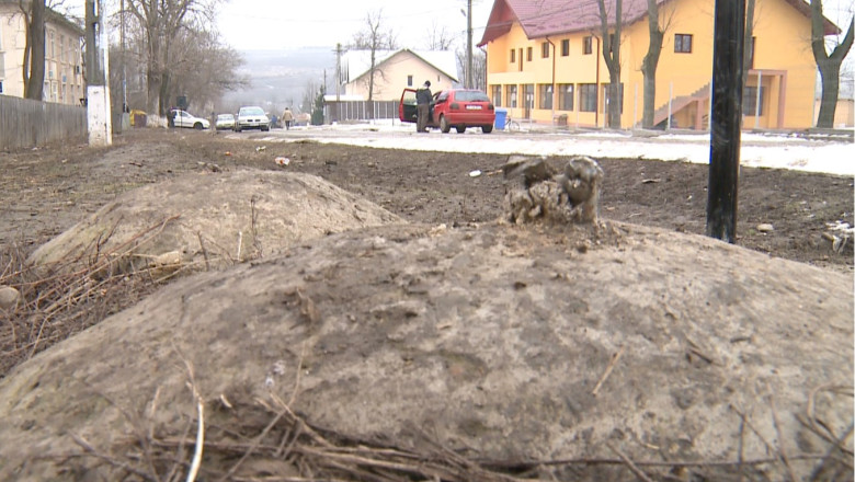 Pericol pe drumuri, din cauza hotilor. Sute de indicatoare auto si borne kilometrice au disparut Imagine