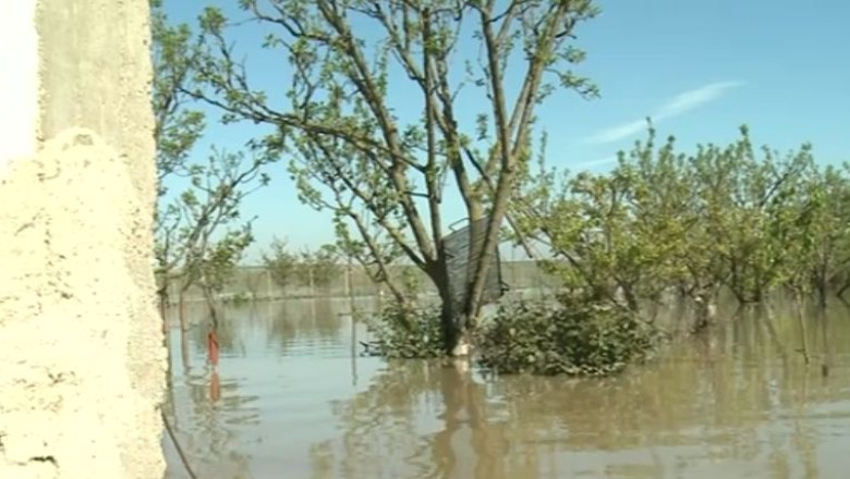 Pericolul inundatiilor nu a trecut. 2.000 de militari sunt pregatiti sa intervina in Teleorman Imagine