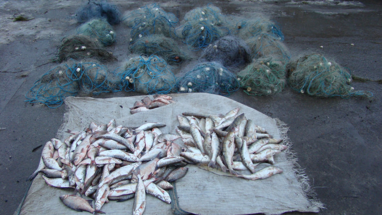 Pescuim din ce in ce mai putin. Comisia Europeana stabileste cote de pescuit mai mici pentru Romania de la an la an Imagine