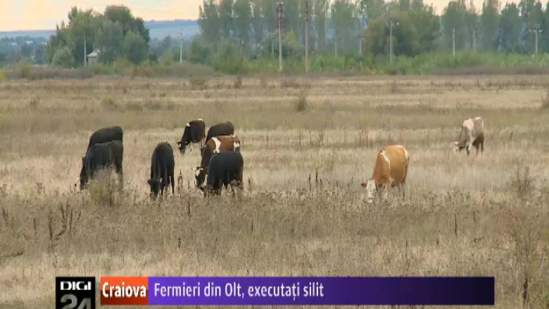 Peste 1.000 de fermieri din judetul Olt, executati silit   Imagine