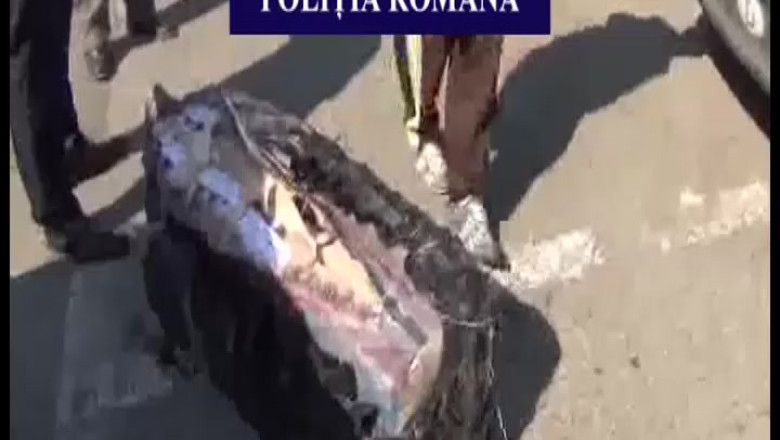 Peste 10.000 de pachete de tigari de contrabanda, descoperite intr-o masina oprita pentru viteza Imagine