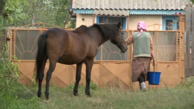 Peste 1900 de localitati din Romania sunt vulnerabile la poluarea cu nitriti si nitrati Imagine