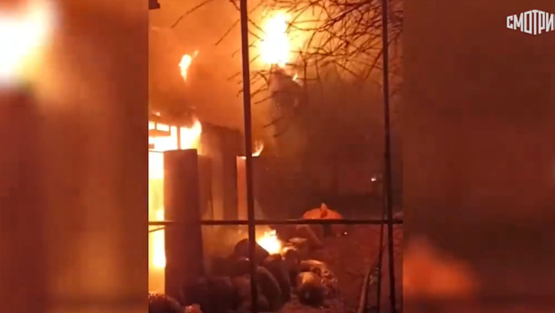 Peste 200 de animale au murit intr-un incendiu la gradina zoologica din Crimeea Imagine