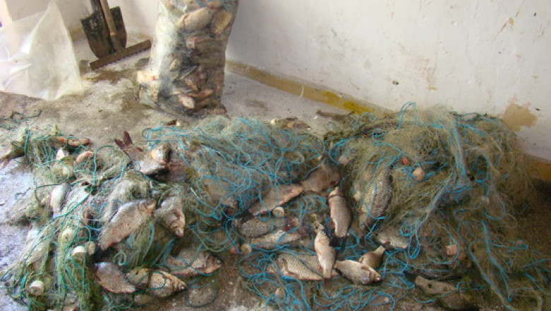Peste 200 de kilograme de peste, confiscate. Pescarii sunt cercetati de politisti pentru braconaj  Imagine