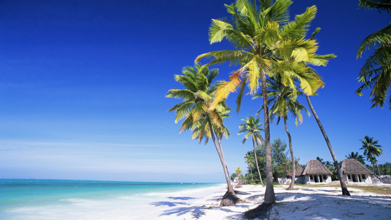 Peste 30 de persoane din Satu Mare, inselate cu vacante fictive in Zanzibar. La cat se ridica prejudiciul Imagine