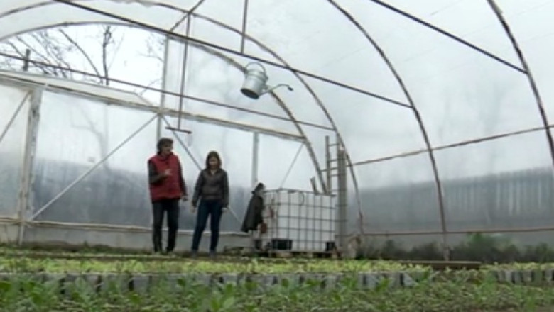 Peste 40.000 de romani renunta anual la oras si se muta la tara. Care sunt motivele Imagine