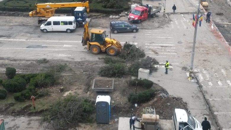 Peste 600 de arbori vor fi taiati in Oradea, din cauza lucrarilor din oras. Primaria promite plantari Imagine
