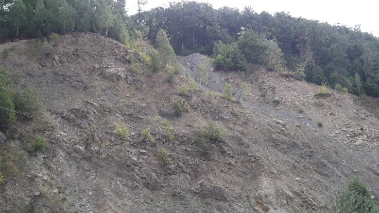 Peste 900 de hectare de padure defrisate ilegal in Arges, intr-o zona protejata. Ministrul Lucia Varga acuza protectia politicului Imagine