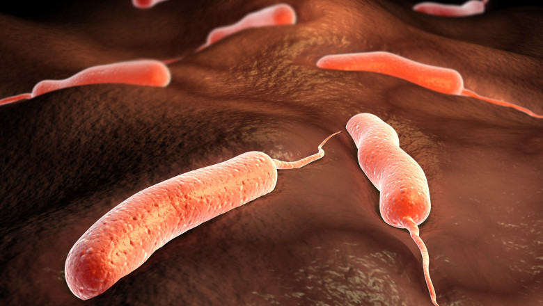 Peste o suta de morti din cauza unei epidemii de holera in Angola. Unde s-au inregistrat cele mai multe cazuri Imagine