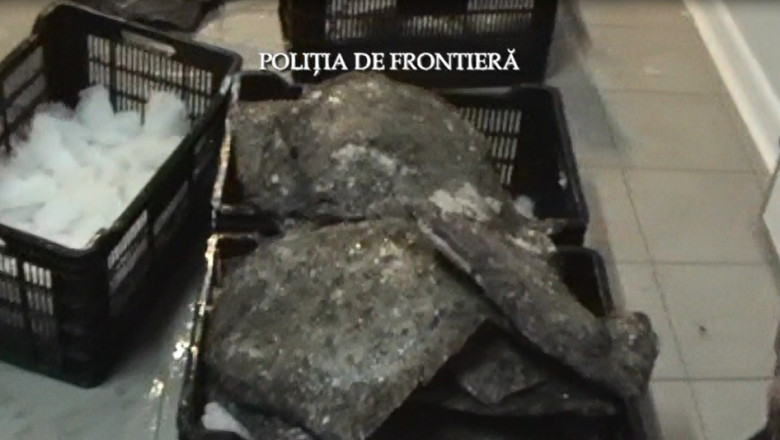 Peste pentru piata neagra din Bulgaria Imagine