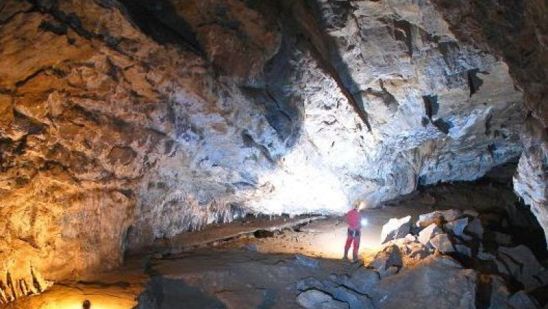 Pestera Tausoare, cea mai lunga din Carpatii Orientali, va putea fi vizitata Imagine