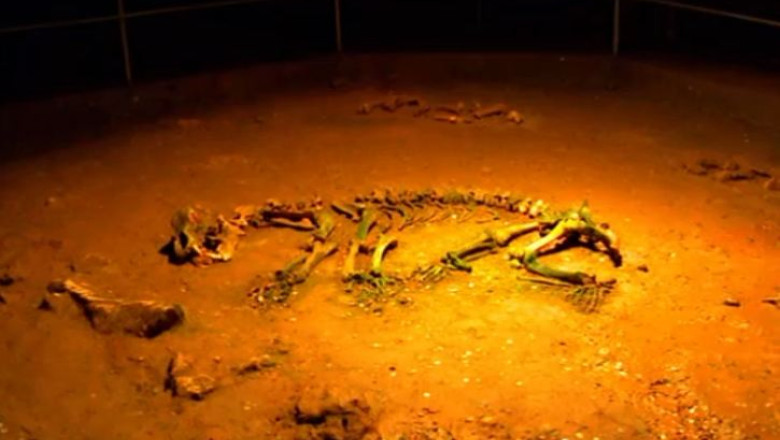 Pestera Ursilor, in circuitul turistic din 1980 Imagine