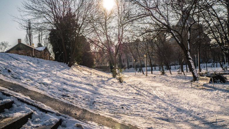 Petitie pentru salvarea unui parc din Arad. Primaria vrea sa construiasca o parcare Imagine