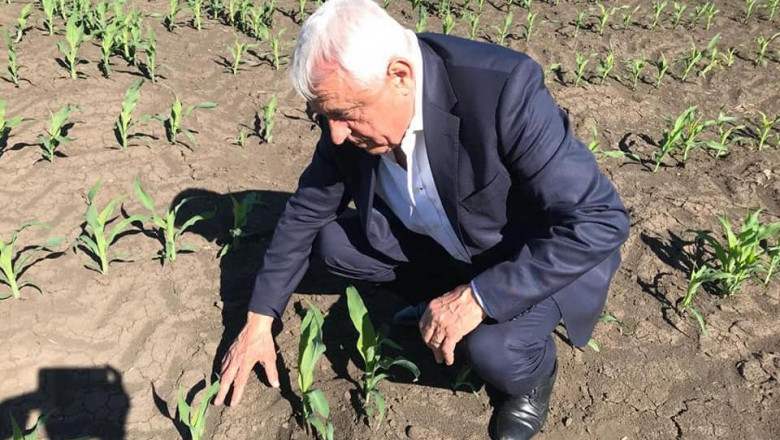 Petre Daea: „Sunt pierderi de cultura, dat fiind faptul ca seceta pedologica s-a cuibarit in Romania” Imagine