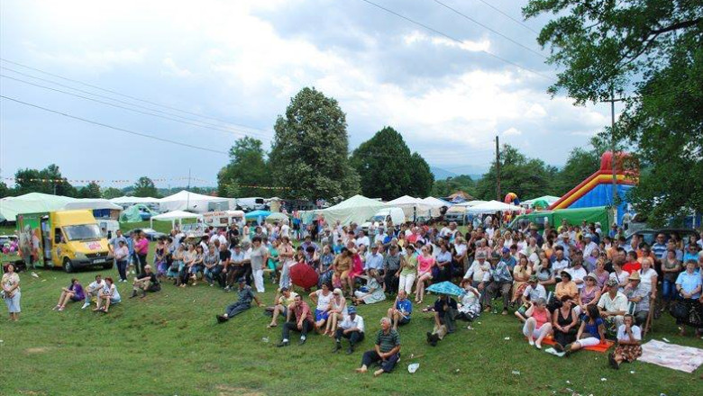 Petrecerea PDL Arad pentru 1 Mai, amanata. Politia a confiscat ingredientele pentru tocanita Imagine