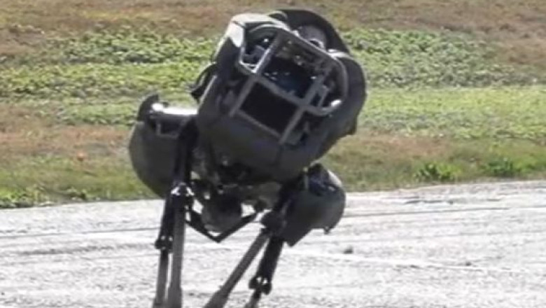 Pisica robotica. Inginerii americani au realizat un robot care se misca fara conectare la priza Imagine