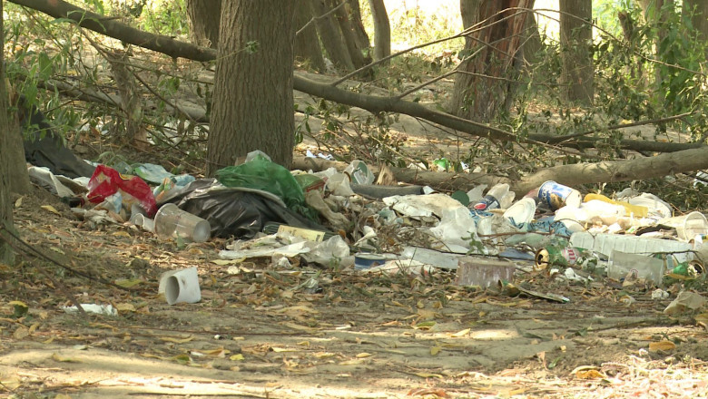 Plaja de la Sag, dupa asaltul amatorilor de gratare si iarba verde: groapa de gunoi! Imagine