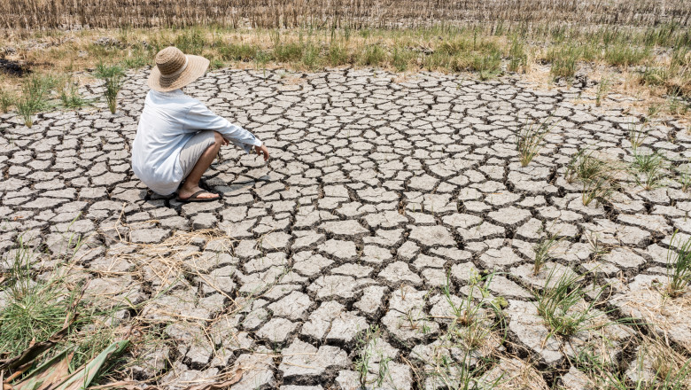 Planeta va depasi in trei ani pragul incalzirii globale de 1,5 grade Celsius, avertizeaza oamenii de stiinta Imagine