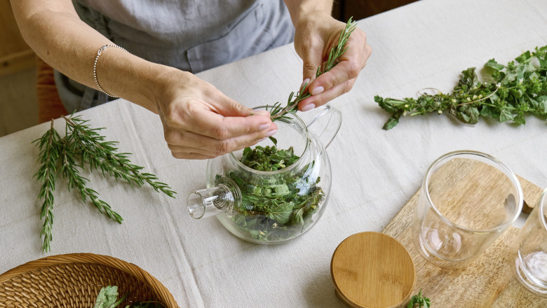 Planta aromatica medicinala care sprijina si imbunatateste memoria. Medicii afirma: „Poate sustine functiile cognitive” Imagine