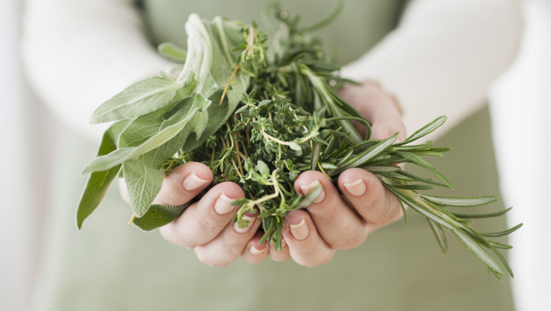 Planta pe care medicii o recomanda pentru intarirea imunitatii: „Ajuta la prevenirea racelilor de sezon” Imagine