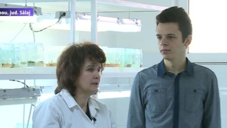 Plante crescute cu lumina programata. Inventia unui elev de liceu a fost aplicata la Gradina Botanica din Jibou Imagine