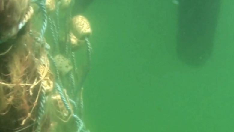 Plasele pescaresti abandonate, adunate din mare. In ultimii 6 ani, 320 de delfini au murit prinsi in capcanele mortii Imagine