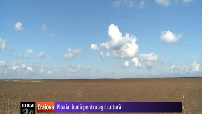 Ploaia, buna pentru agricultura. In Dolj, deficitul de apa din sol a fost compensat Imagine