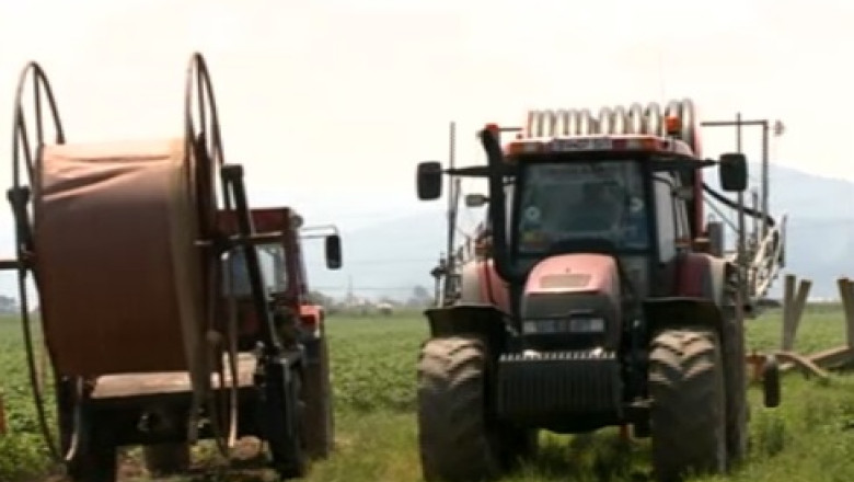 Ploile abundente afecteaza recoltele Imagine