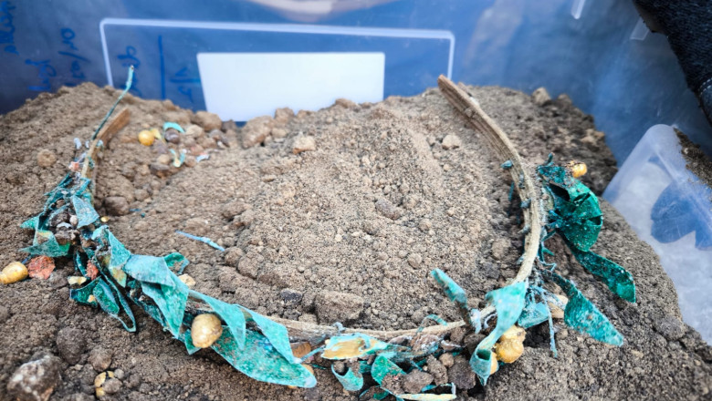 Podoabe de aur, cununi funerare si sarcofage, descoperite in situl „Necropola tumulara a orasului antic Callatis” Imagine