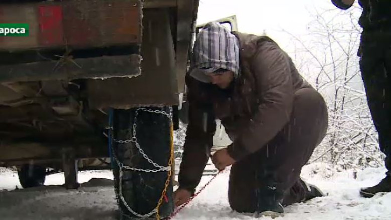 Polei pe mai multe drumuri  Imagine