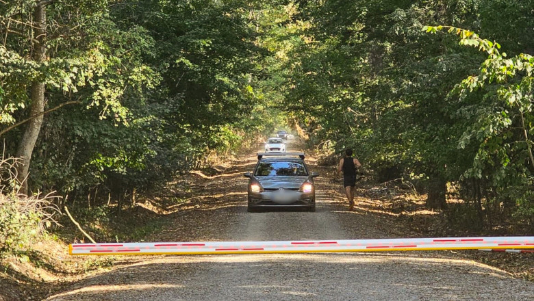 Polemica privind soseaua care taie Padurea Baneasa: „Avem nevoie de acces” / „Sunt si alte cartiere si nu vor drum prin Herastrau” Imagine