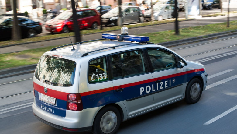 Politia austriaca a arestat 15 persoane, inclusiv un roman, dupa un val de infractiuni homofobe Imagine