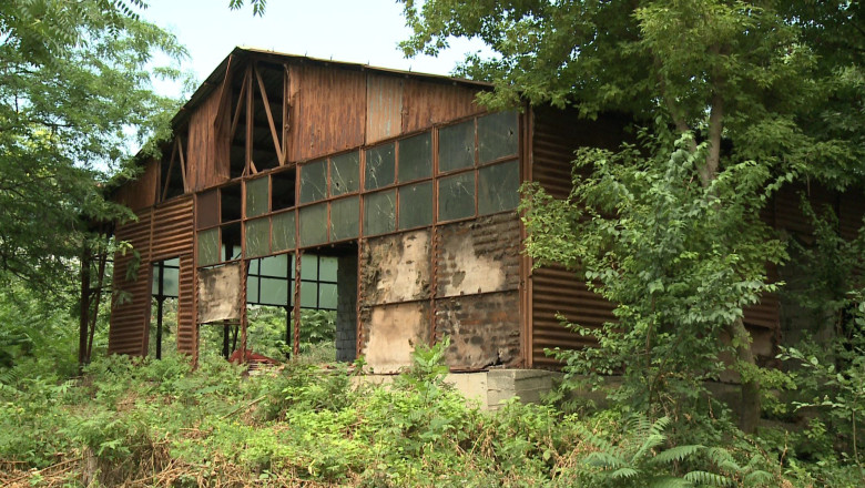 Politia Locala striga: hotii!  Imagine