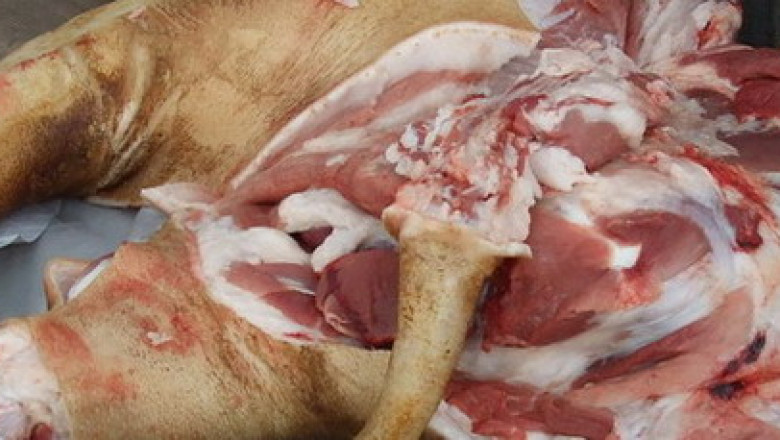 Politist retinut dupa ce ar fi cerut mita 26 de kilograme de carne Imagine