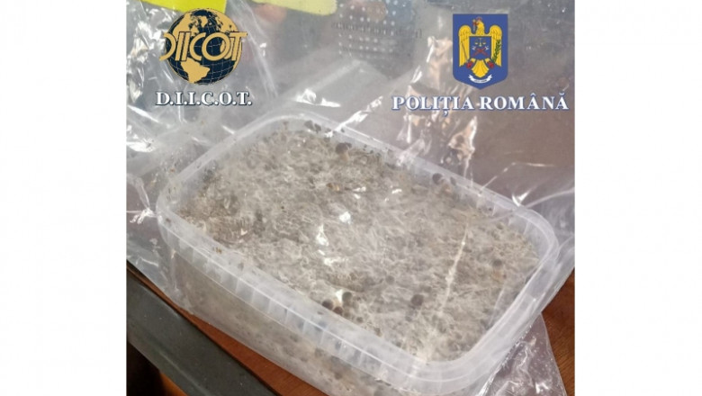 Politistii au gasit cocaina, ciuperci halucinogene si cannabis in corturile si masinile unor participanti la un festival din Harghita Imagine