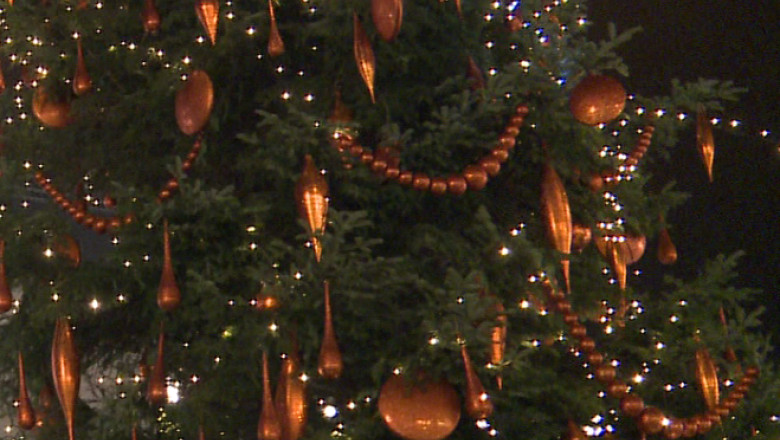 Politistii din Iasi au aplicat primele amenzi pentru nereguli de sezon Imagine