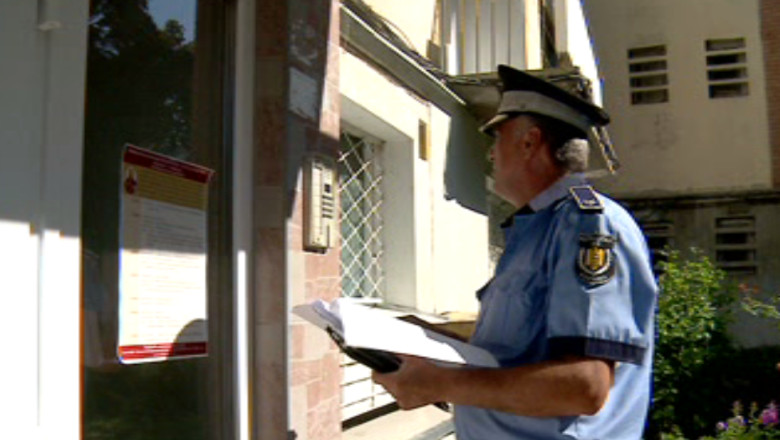 Politistii locali cauta cainii adoptati de la padoc Imagine