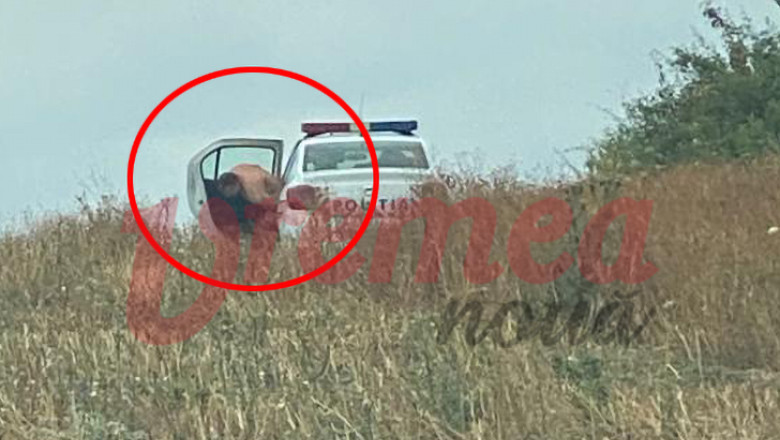 Politistul fotografiat dezbracat pe un camp din Vaslui, langa masina de serviciu, s-a pensionat de urgenta Imagine