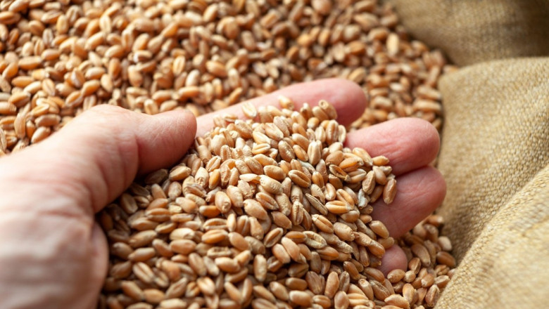Polonia anunta ca "unele tari" vor impune restrictii pentru cerealele din Ucraina si dupa 15 septembrie Imagine