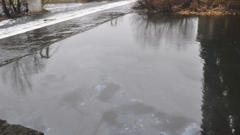 Poluare pe Crisul Repede. Sute de litri dintr-o substanta necunoscuta au ajuns in rau Imagine