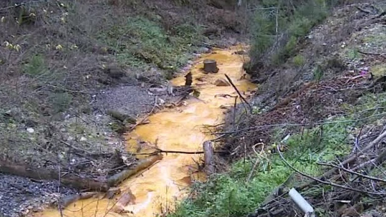 Poluare pe Somesul Mare Imagine